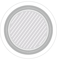 フライング・ディスク 写真印刷