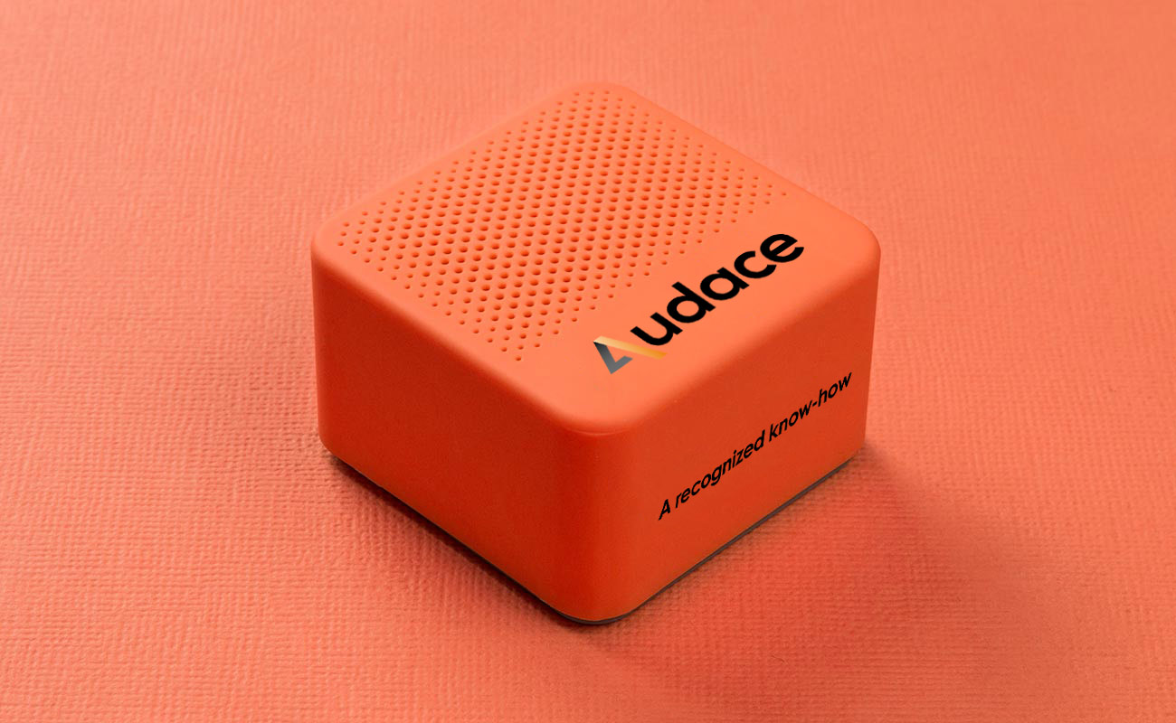 レイ - プロモーション用スピーカー gallery thumbnail