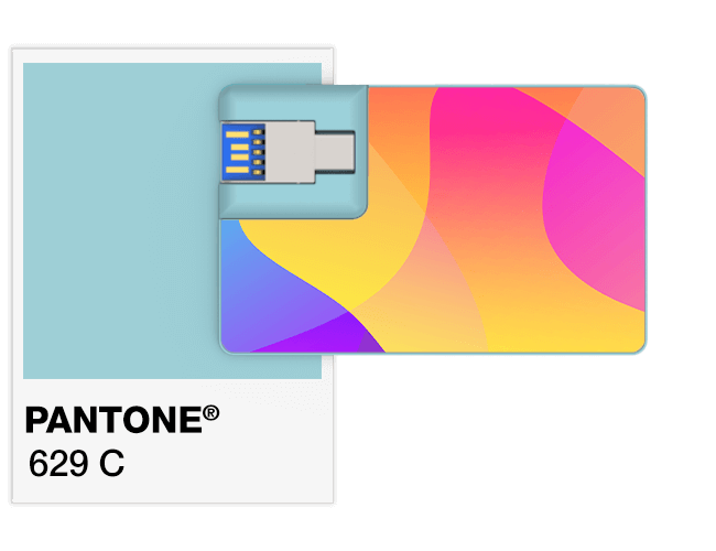 Pantone®　参照情報 USBカード